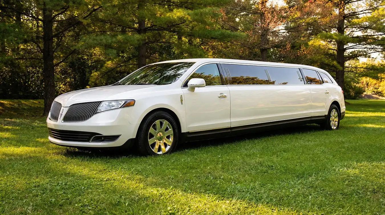 Fleet-thumb-10-Passenger-Stretch-Limo